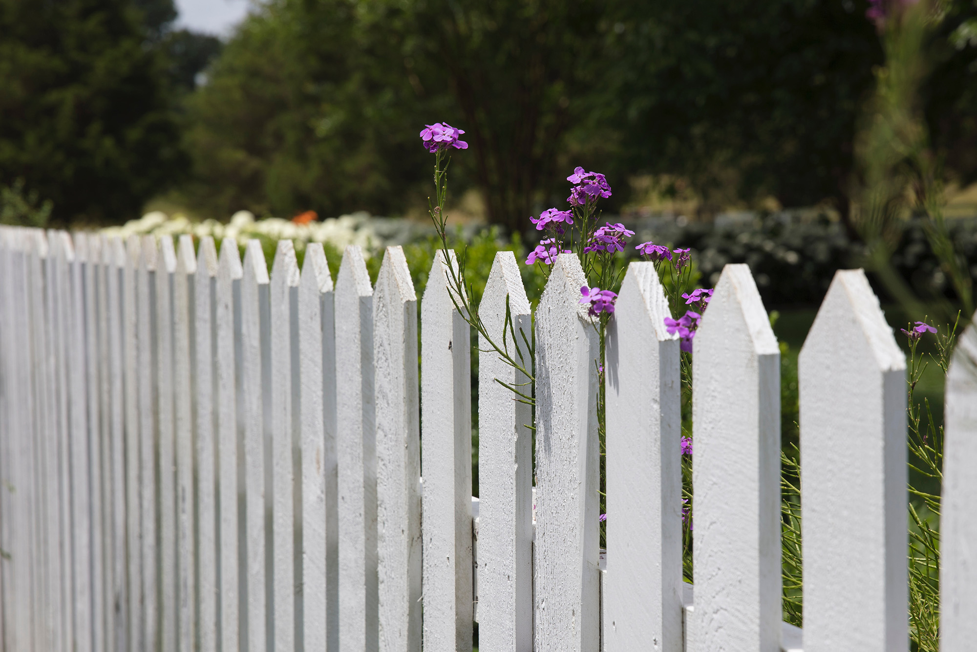 white picket fence in front of a house